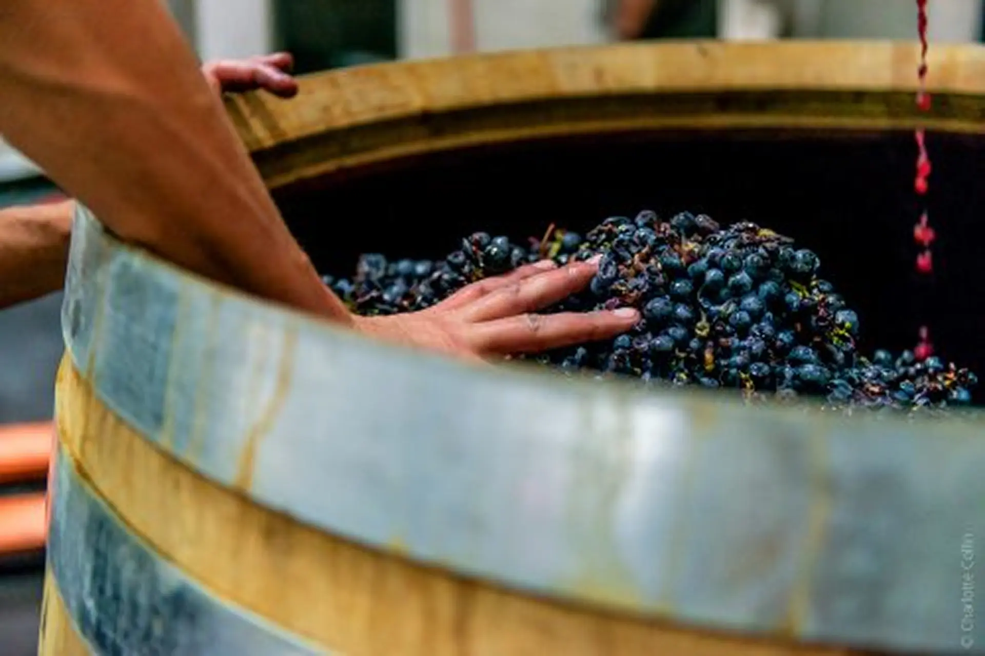 Creez votre vin d'exception